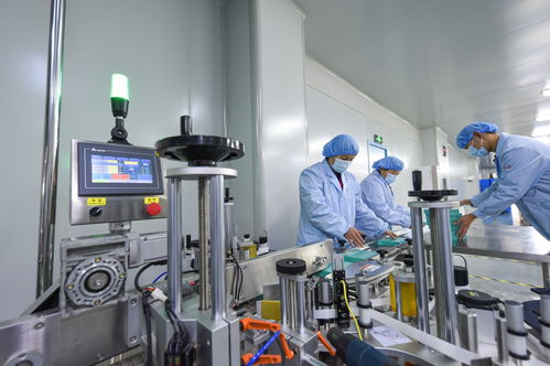 衡水新聞網(wǎng) 石家莊技術(shù)服務(wù)與技術(shù)開(kāi)發(fā)新動(dòng)向探析